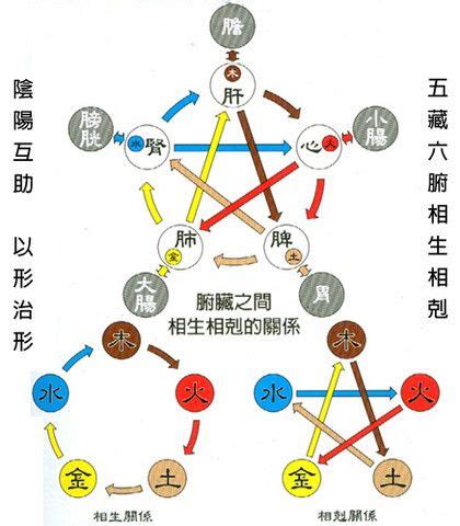 北方五行屬什麼|【解讀中國五行：木、火、土、金、水五行學說精髓】